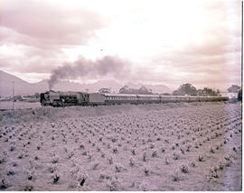 Wellington district, 1952. SAR Class 15F with Blue Train.