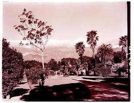 Paarl, 1939. Public gardens.