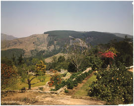Swaziland, 1973. Gardens near Mbabane . [CJ Dannhauser]