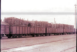 
A variety of early SAR 'B' type wagons loaded with timber.
