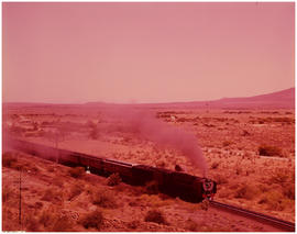 Karoo, 1964. Clerestory-roofed passenger train hauled by SAR Class 25 (condensed).