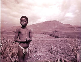 "Drakensberg, 1956. Zulu girl in the Cathedral Peak area."
