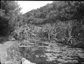 Port Elizabeth, 1932. Happy Valley water garden.