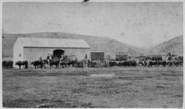 Kommadagga, 1874. Station building with ox wagons. Station previously called Riebeeck Road.