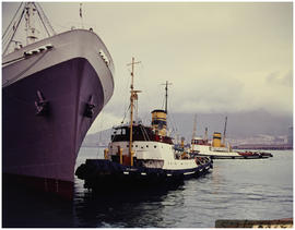 Cape Town, 1966. SAR tug 'FT Bates' assisting ship 'in Table Bay Harbour. [HT Hutton]
