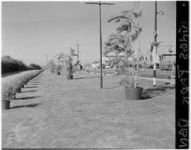 Durban, 22 March 1947. Kings Park station