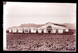 Paarl district, 1939. KWV wine cellar.