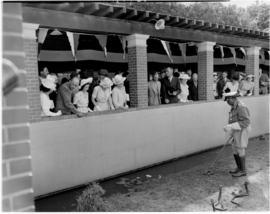 Port Elizabeth, 26 February 1947. Royal family visiting the snake park while snake handler Johann...