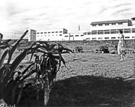 Port Elizabeth, 1950. Seaview Hotel.