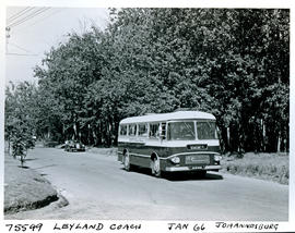 Johannesburg, 1965. SAR Leyland Royal Tiger tour bus No MT16308. SAR Tourist Service.