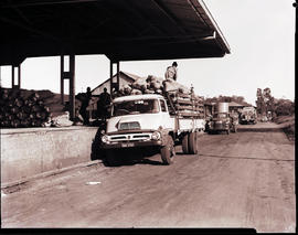 Komatipoort, 1963.  Thames Trader truck unloading vegetables at station.