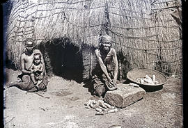 Natal. Old Zulu woman grinding corn outside hut.