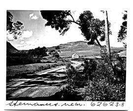 Hermanus district, 1954. Country road.