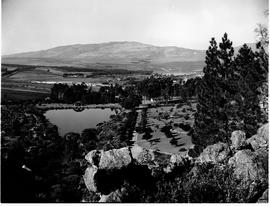 Caledon district, 1949. Wildflower garden.