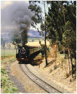 Ficksburg district, November 1985. Steam train near Sekonyela. [Z Crafford]