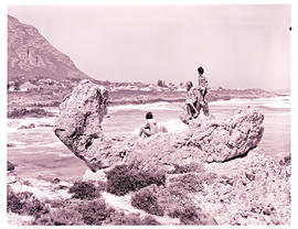 "Hermanus, 1977. Rugged coastline."