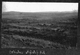 Circa 1925. Ostriches at the foor of a hill. (Album on Natal electrification)
