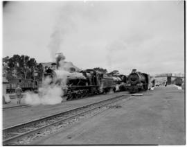 Queenstown, 6 March 1947. SAR Class 15AR locomotives leading the Royal Train. Pilot Train pulled ...