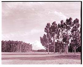 "Bethlehem, 1938. Golf course."