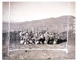 Natal, 1946. Zulu warriors entering kraal.