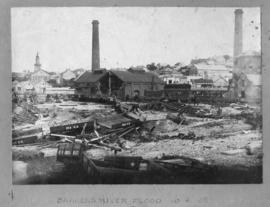 Port Elizabeth, 16 November 1908. Flood damage in the Baakens River Valley.