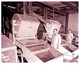 "Kimberley, 1964. Grease tables for diamond recovery at De Beers."