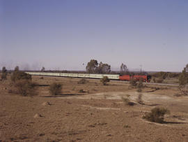 Warrenton district, 1984. SAR Class 26 No 3450 'Red Devil' with Drakensberg Express. [D Dannhauser]