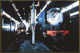 
Two SAR Class 25NC's in loco shed.
