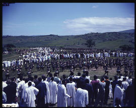Tribal dancing at large Zulu gathering.