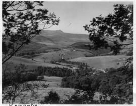 Fort Beaufort district, 1952. Katberg Valley.