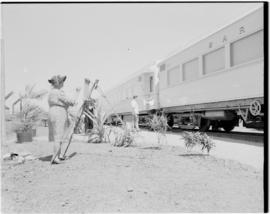 
Artist in floral dress and hat painting the Royal Train.
