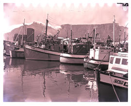 Cape Town, 1966. Fishing boats in Table Bay Harbour.
