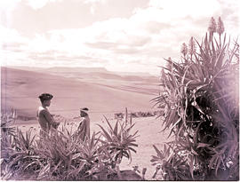 "Umtata district, 1952. Women overlooking valley."