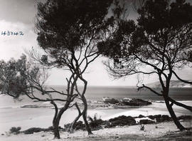 Plettenberg Bay, 1936. The islet.