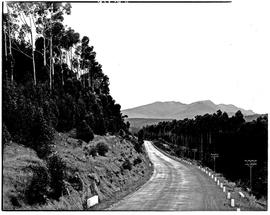 Hermanus district, 1948. Country road.