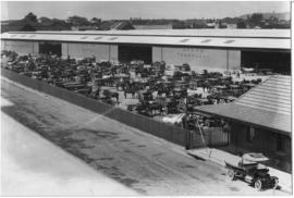 Durban. Goods depot with many animal-drawn carts and wagons.