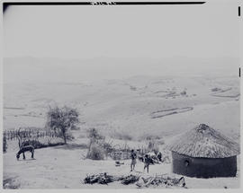 Umtata district, 1949. Traditional hut and surrounds.
