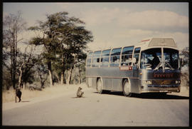 SAR MAN-Bussing No MT60041 tour bus in game reserve.