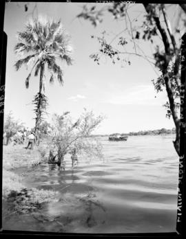 Livingstone, Northern Rhodesia, 11 April 1947. The barge of the Barotse chief on the Zambezi River.