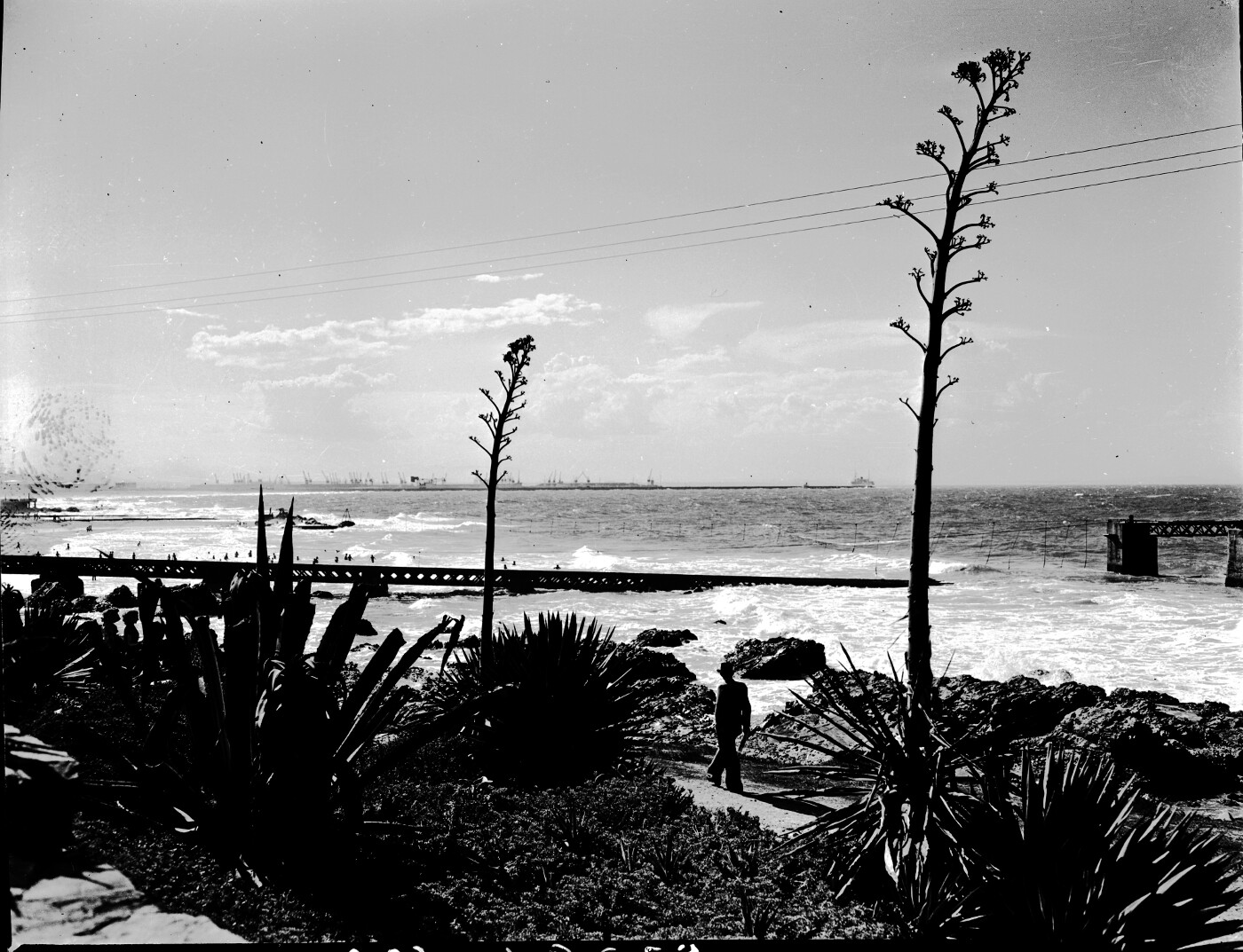 Port Elizabeth, 1948. Humewood beach. - Atom site for DRISA