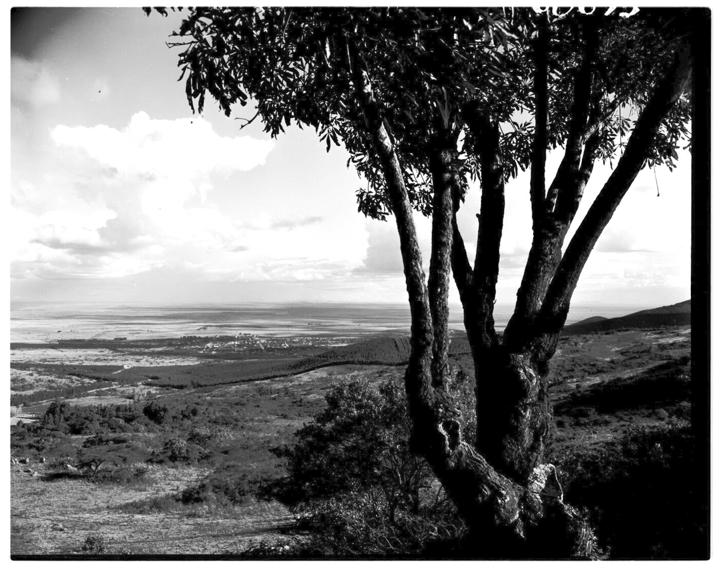 Louis Trichardt district, 1952. Town in the far distance. - Atom site ...