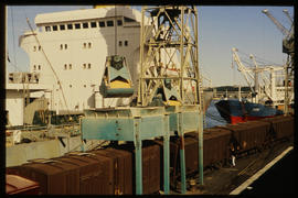 East London, August 1983. Transferring grain from ship to train wagons. [T Robberts]