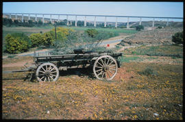 Vredendal district, 1975. Oxwagon with concrete bridge over the Olifants River in the distance.