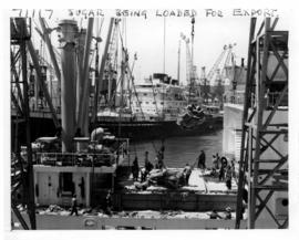 Durban, 1962. Loading bags of sugar in Durban Harbour.
