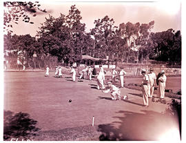 "Uitenhage, 1950. Bowling at Magennis Park."