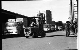 Cape Town, April 1971. Loading apples from a Ford truck.