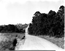 Tzaneen district, 1953. On the road to Soekmekaar.