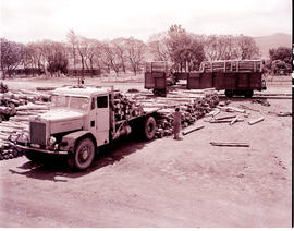 Louis Trichardt, 1960. Leyland truck loading timber.