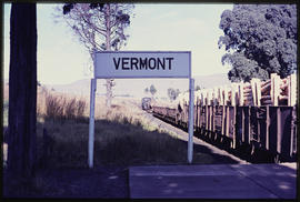 Dullstroom district. Train with timber load at Vermont station.