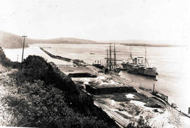 Durban, circa 1865. Durban Harbour viewed from the Bluff.